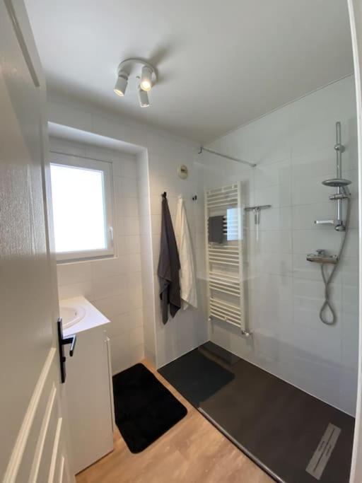 Magnifique Appart Renove Evian Duplex Vue Lac 8 Pers Εξωτερικό φωτογραφία